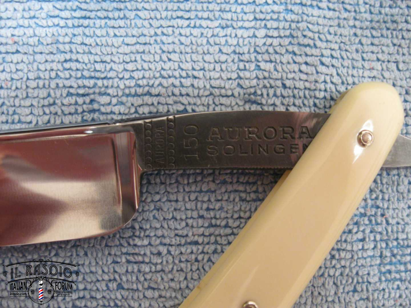 IMG 0532