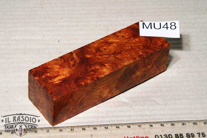 mu48-amboina