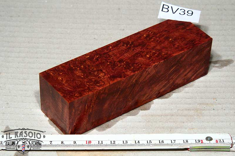 bv39-ahorn