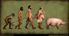 evolucemu3ews0