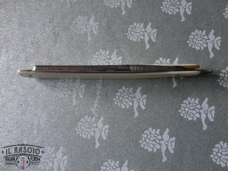 Kropp dorso