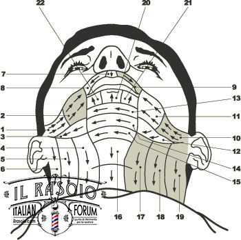 Help Files Shavediag1