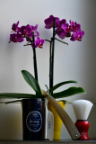 2014-03-11