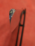 IMG 0907