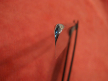 IMG 0912