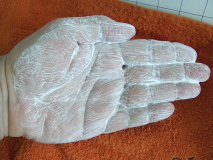 Schiuma FigaroP160-2