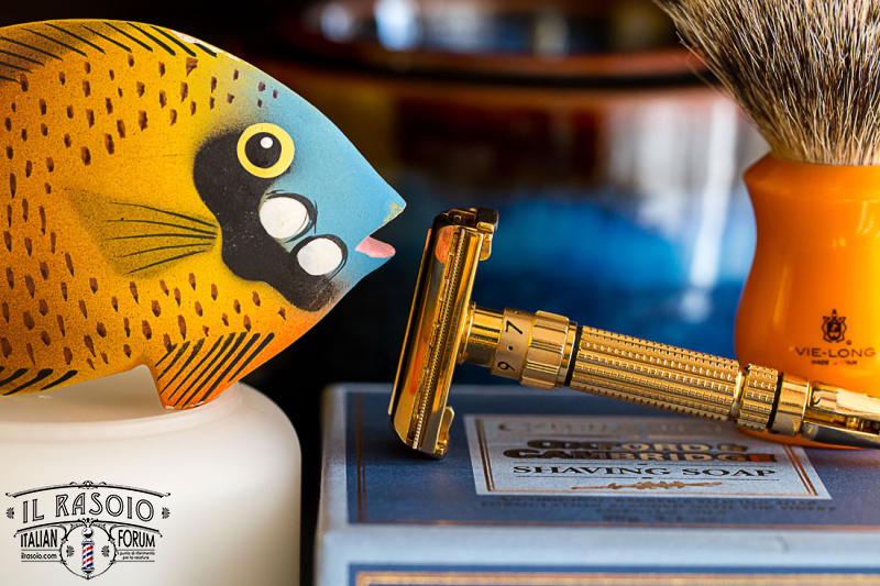 SOTD 01042014
