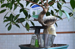 SOTD 2014-04-16