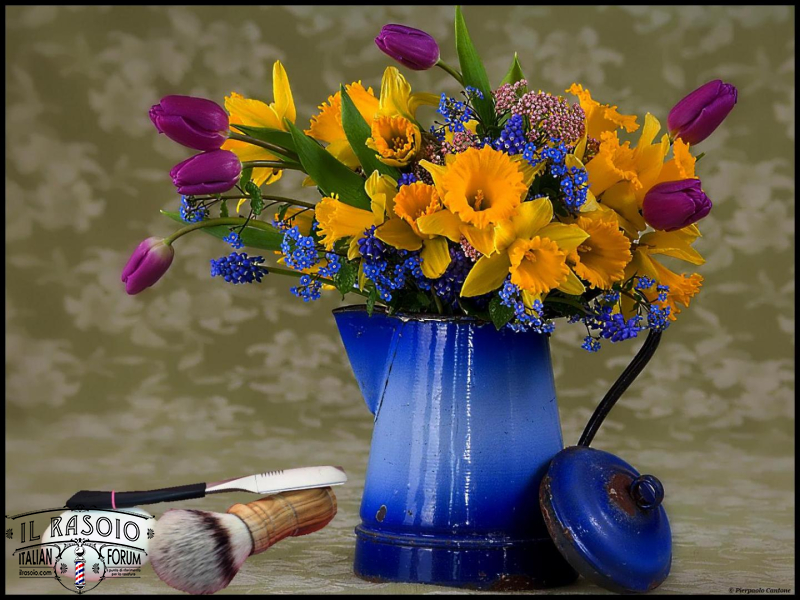 SOTD20140423 Spring Blue