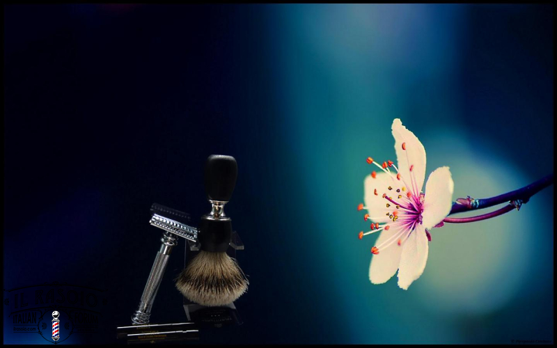 SOTD20140424 Orchidea Selvaggia