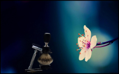 SOTD20140424 Orchidea Selvaggia
