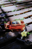 26.04.2014 bis