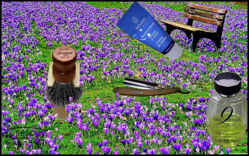 SOTD 2014.04.26 Best Shave Field