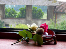 P1010767