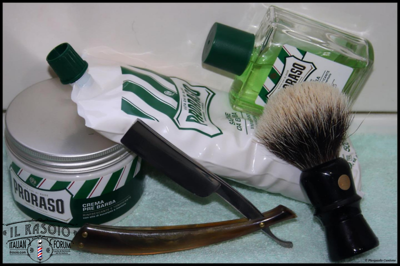 SOTD20140622 Ever Green