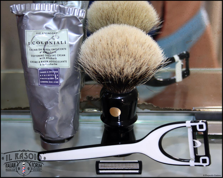 SOTD20140706 Azor