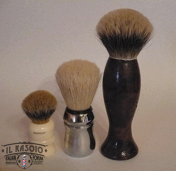 Cucciolo 6
