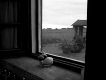 Copia di P1020084
