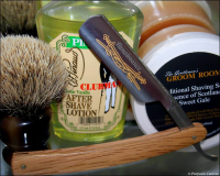 SOTD20141006 Rinascita