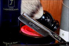 SOTD20141108 Rose
