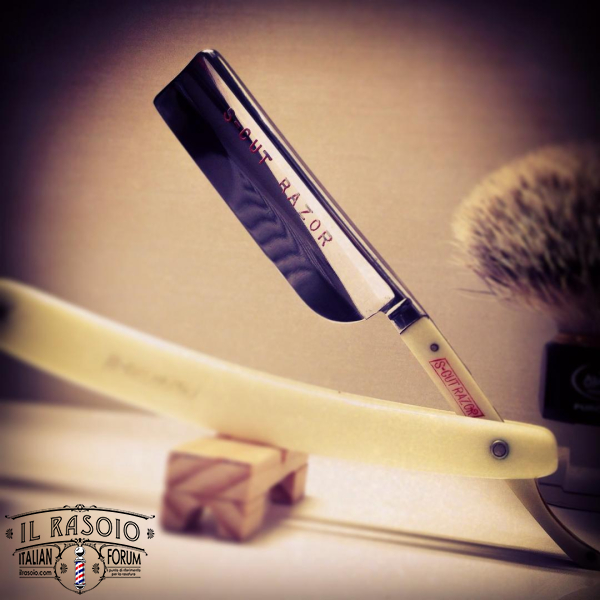 SOTD 11/11/14
