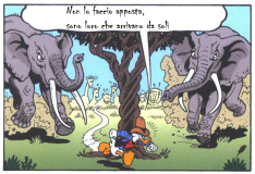 elefanti