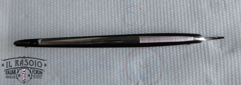 Krp5 8 dorso