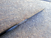 DSCN3406