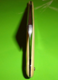G2 punta