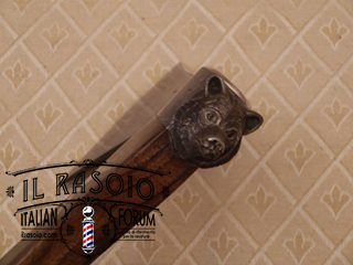10393161 745843685480846 3631384049824633682 n