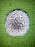 IMG-20150210-WA0002