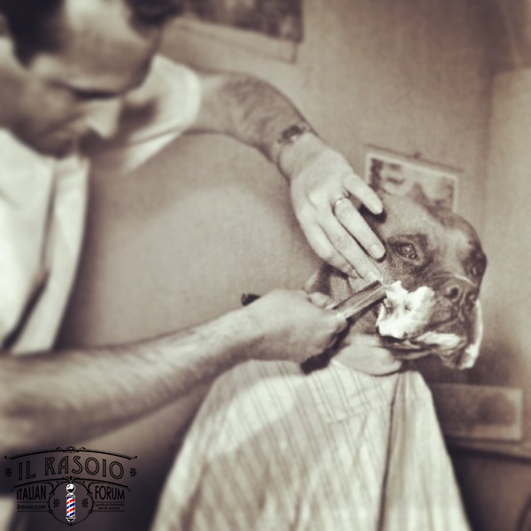 Shaving Dog