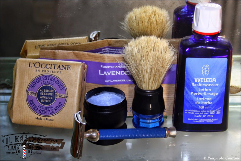 SOTD20150326 Viola