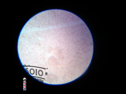 IMG 20130204 163207
