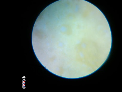 IMG 20130204 163417