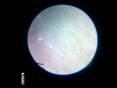 IMG 20130204 163616