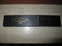 Filarmonica Novodur