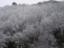DSC05150