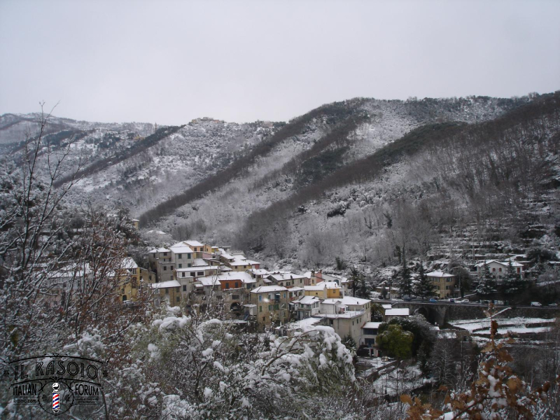 DSC05169