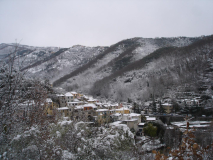 DSC05169