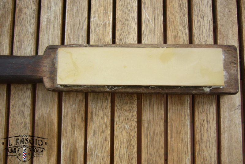 Belga1