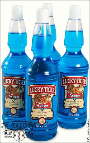 Lucky Tiger Aspen