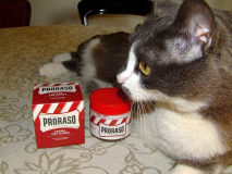Proraso Pre-Rossa
