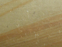 Stone A5 Detail