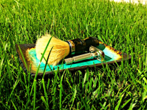 SOTD 08052015 A