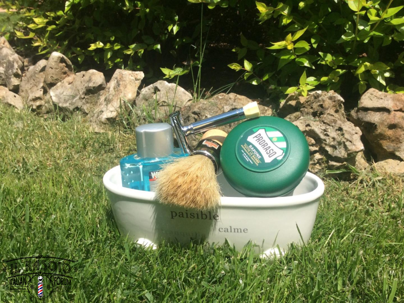 SOTD 11052015