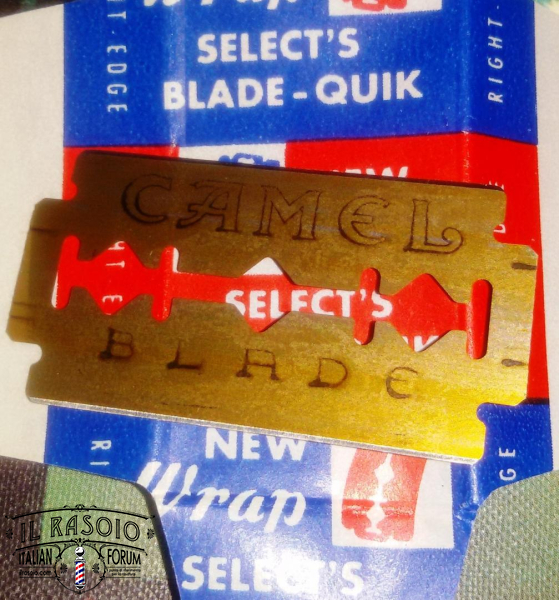Camel
