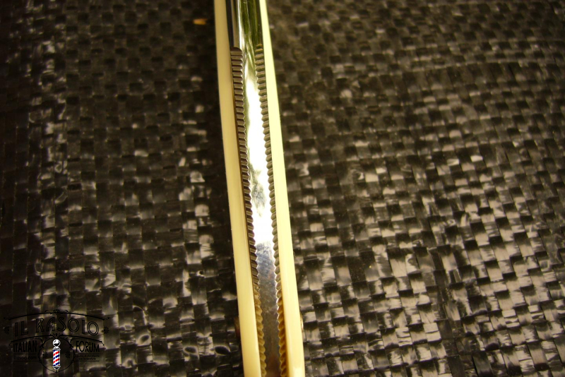 REX zigrinatura c
