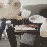 IMG 20150614 094745