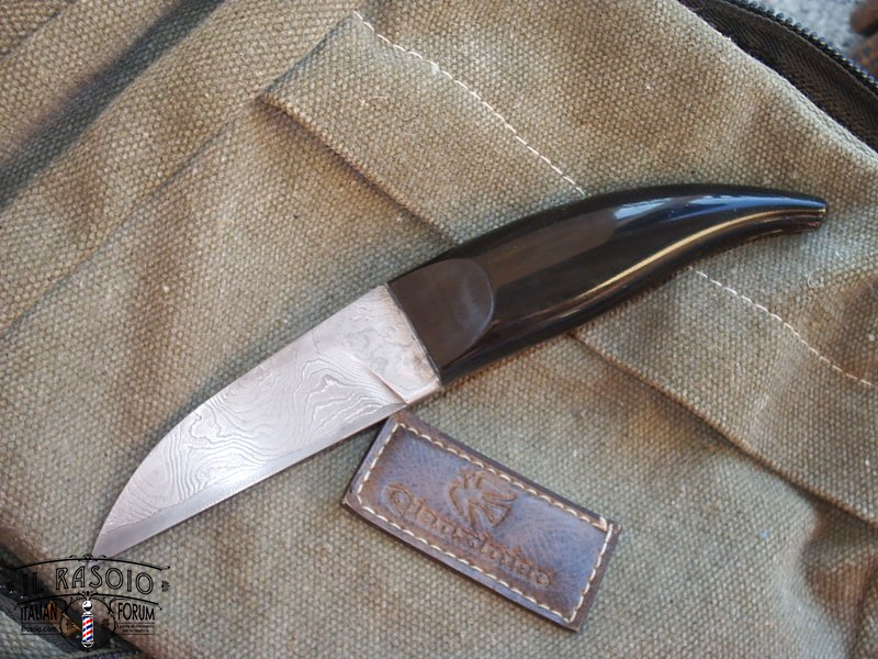 Camaleonte